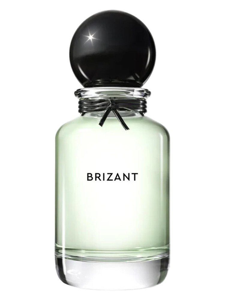 Brizant
