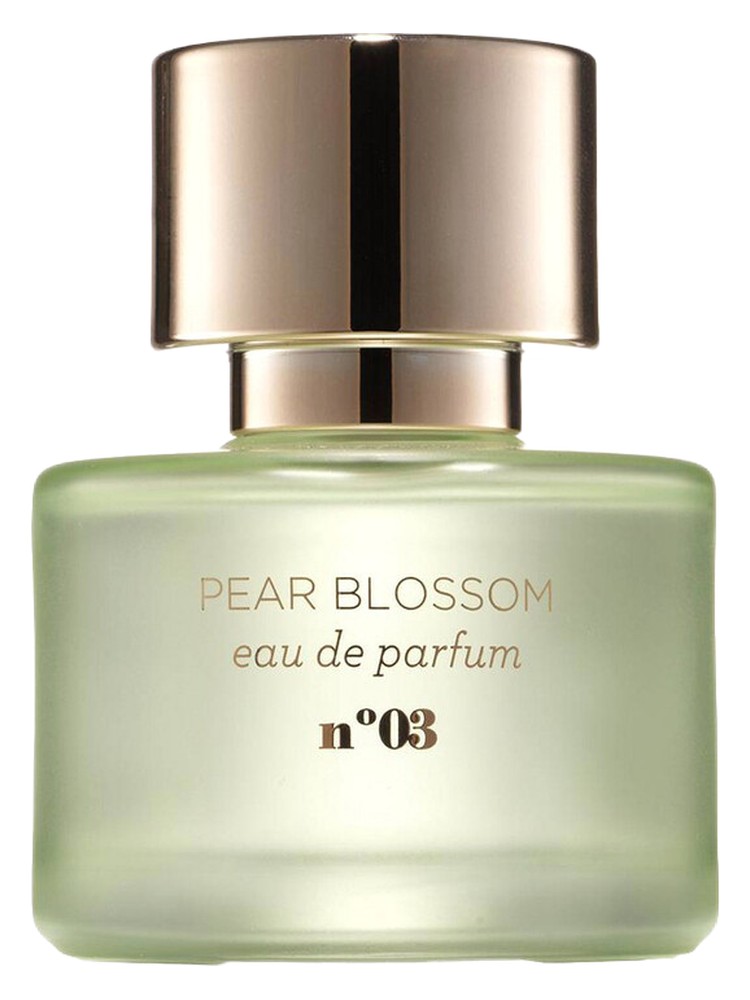 Pear Blossom