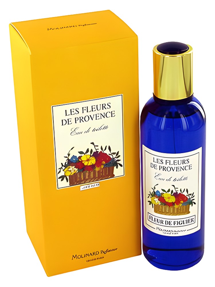 Fleur de Figuier