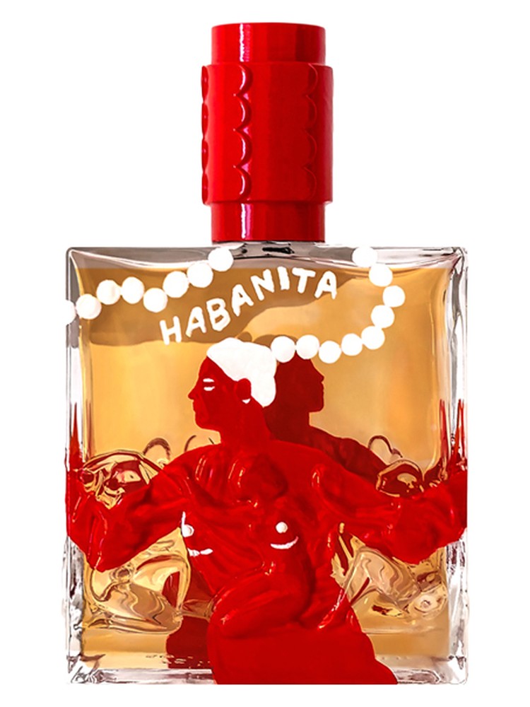 Habanita X Marie Guillard
