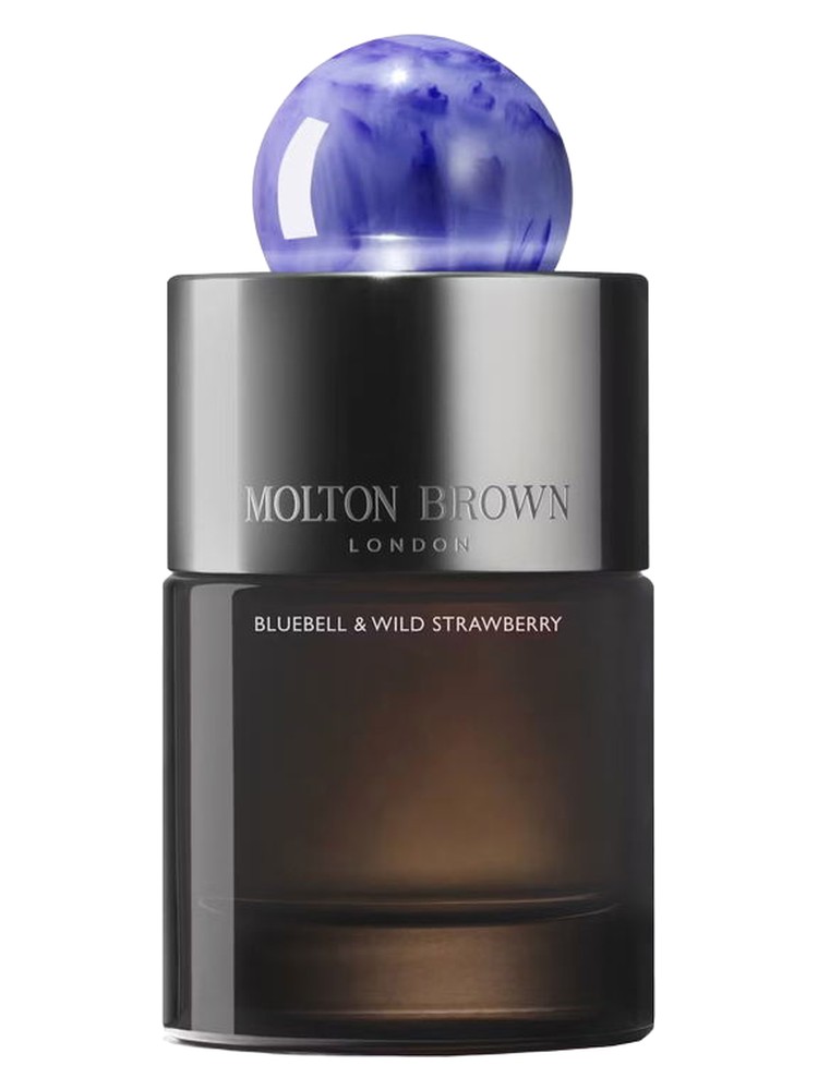 Bluebell & Wild Strawberry