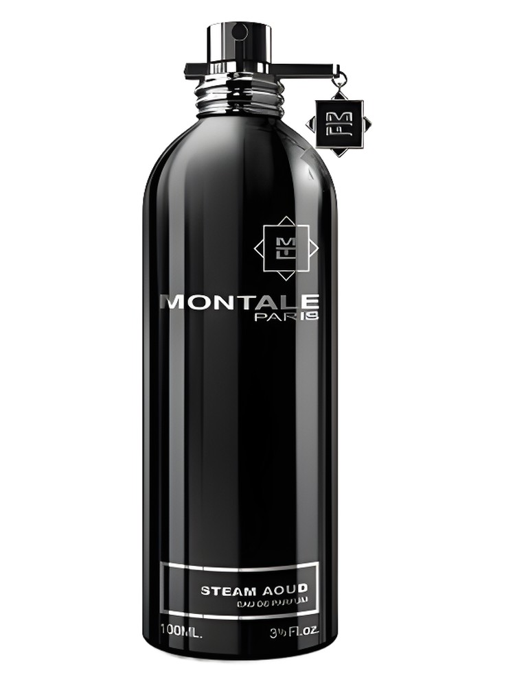 Steam Aoud (Aoud Hoggar Mota)