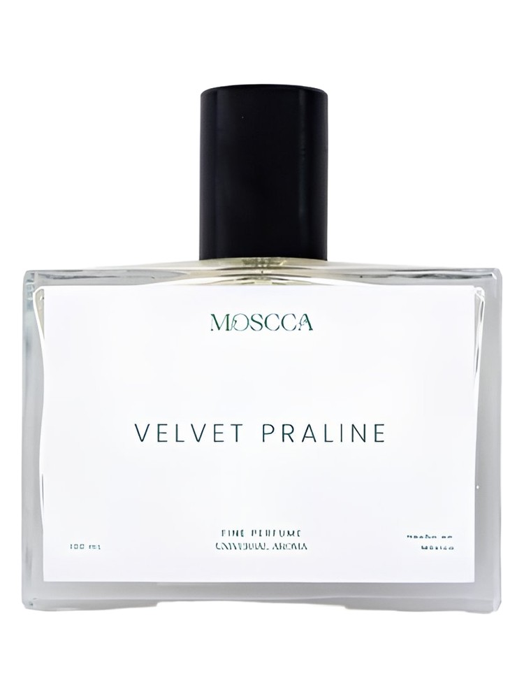 Velvet Praline