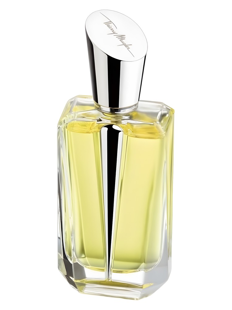 Mirror Mirror Collection - Miroir des Secrets