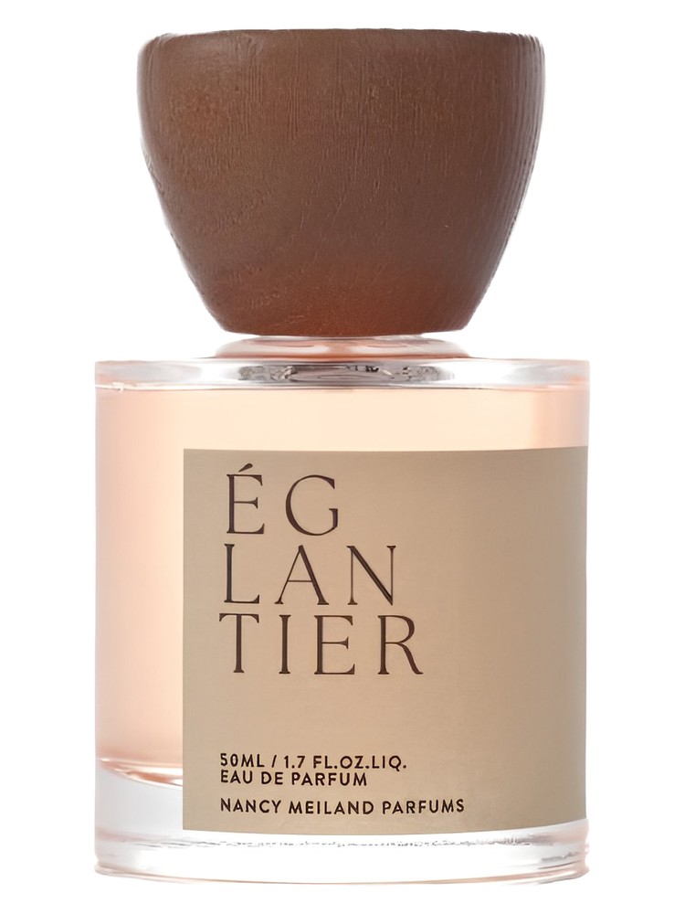 Églantier