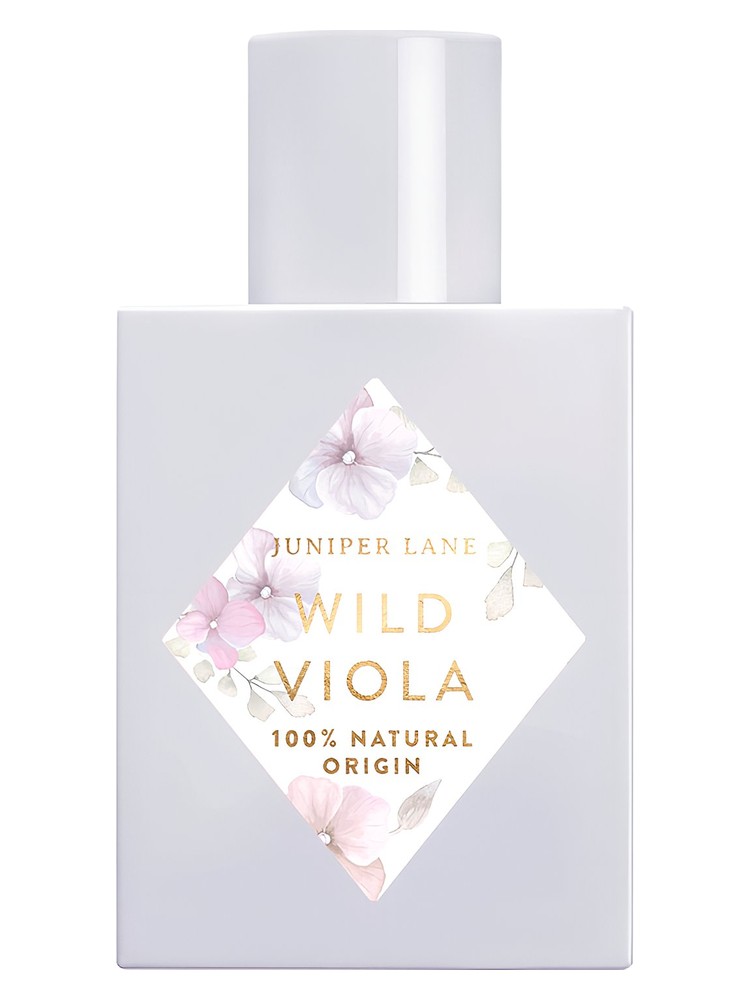 Wild Viola