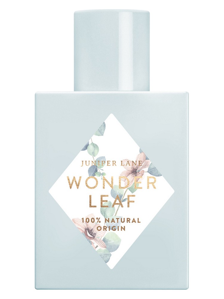 Wonder Leaf