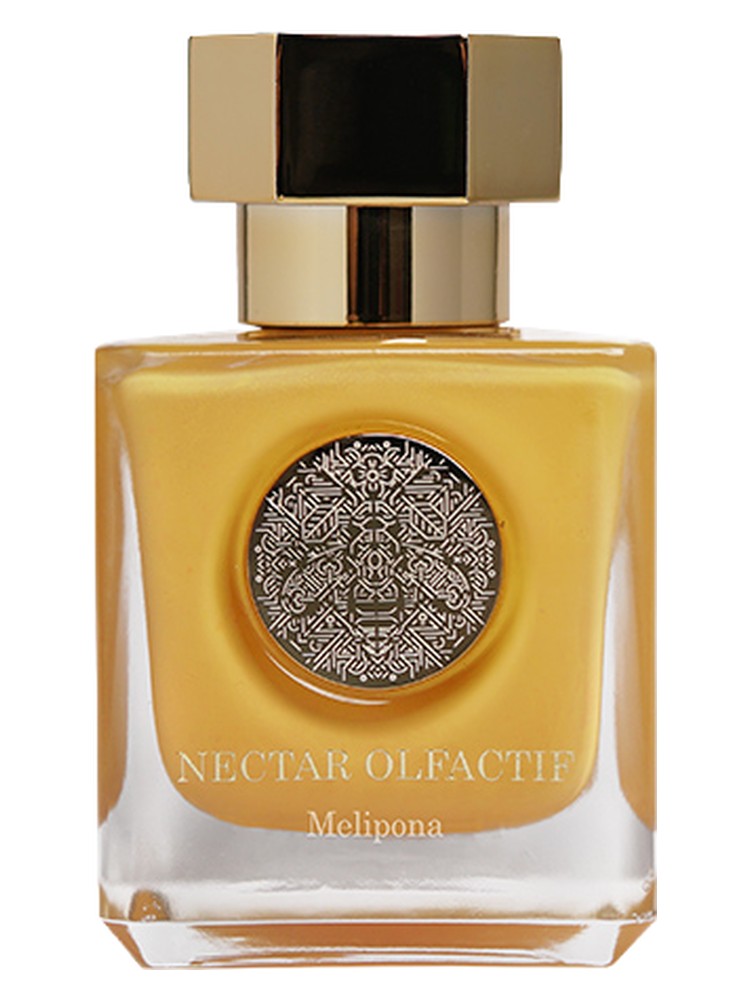 Melipona