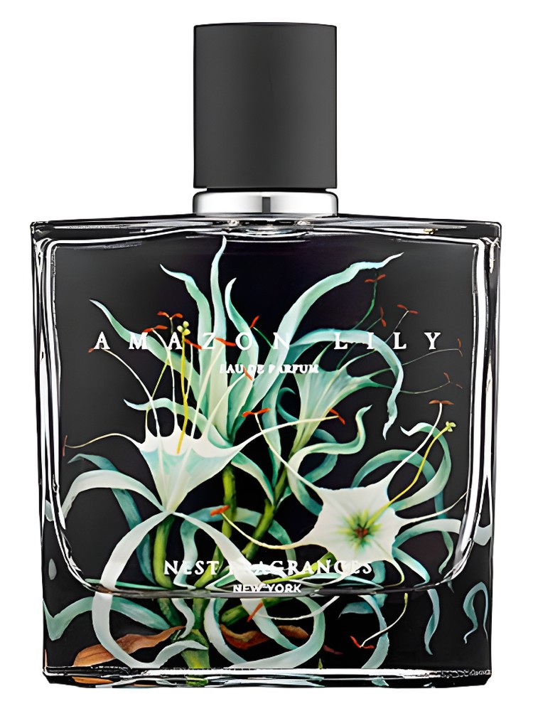 Amazon Lily
