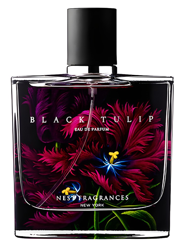 Black Tulip