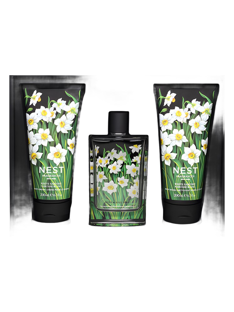 White Narcisse