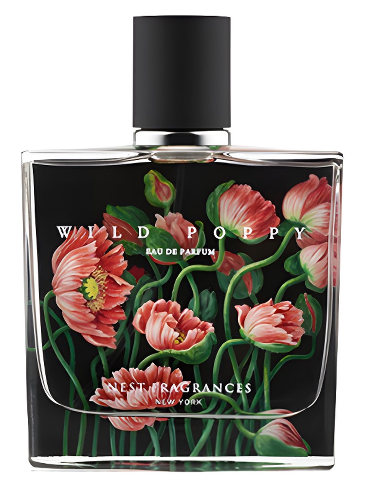 Wild Poppy