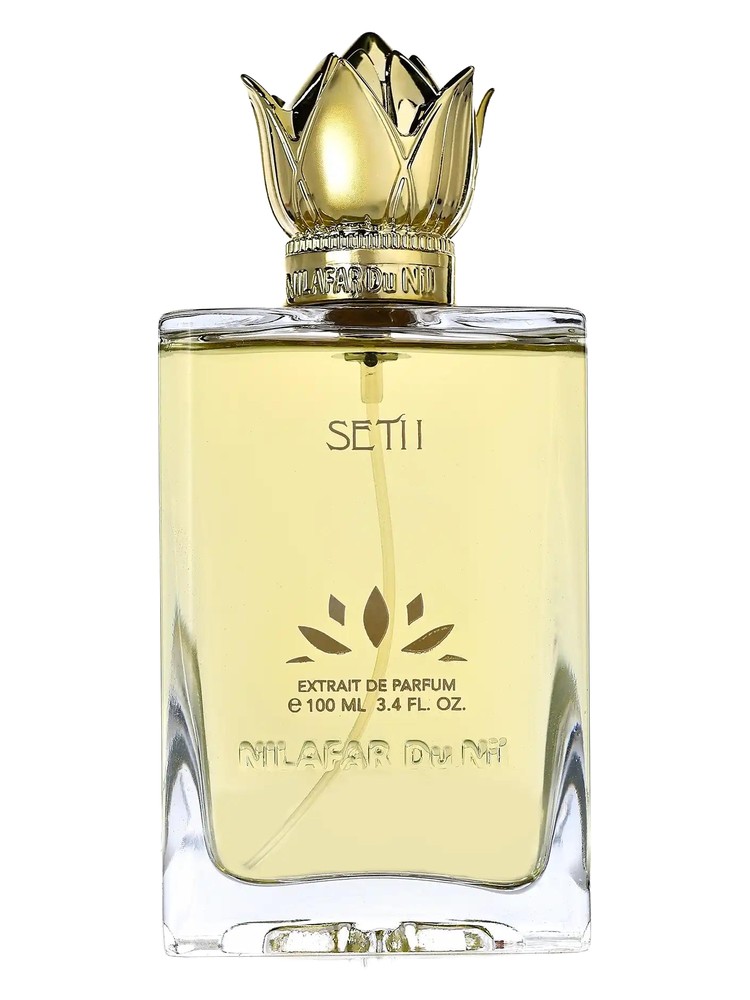 SETI I