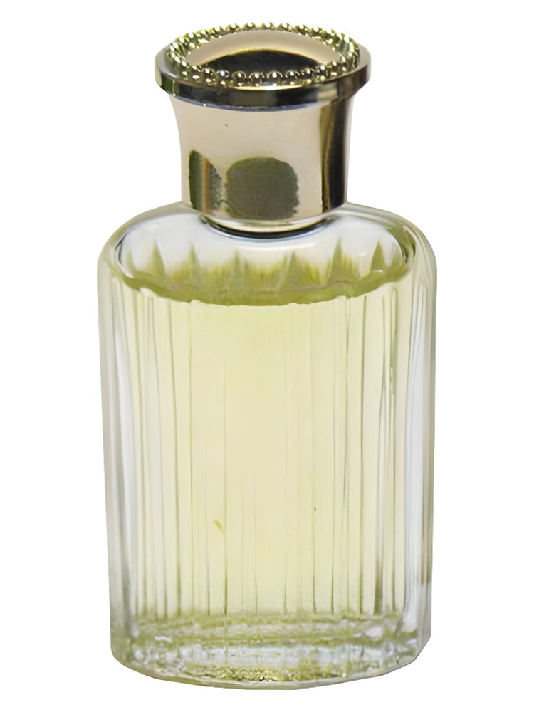 Signoricci 2