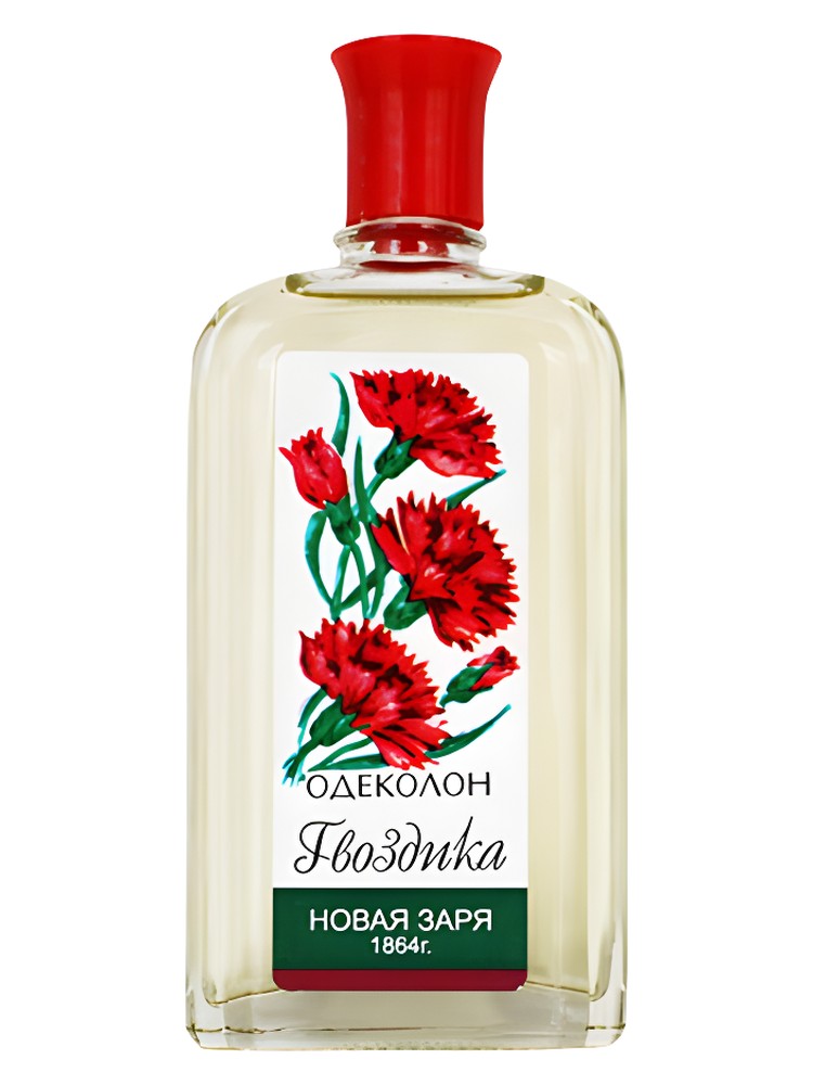 Гвоздика (Carnation)