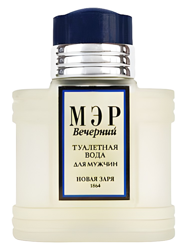 Мэр Вечерний (Mayor Night)