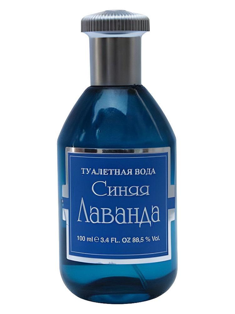Синяя лаванда (Blue Lavender)