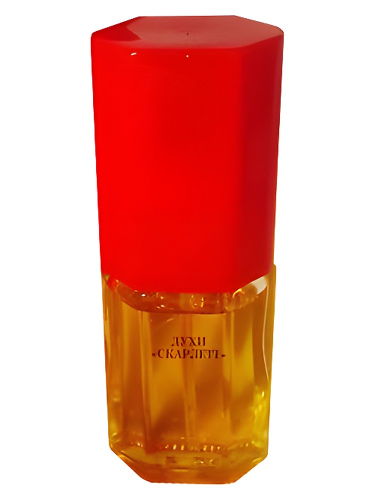 Скарлетт (Scarlett)