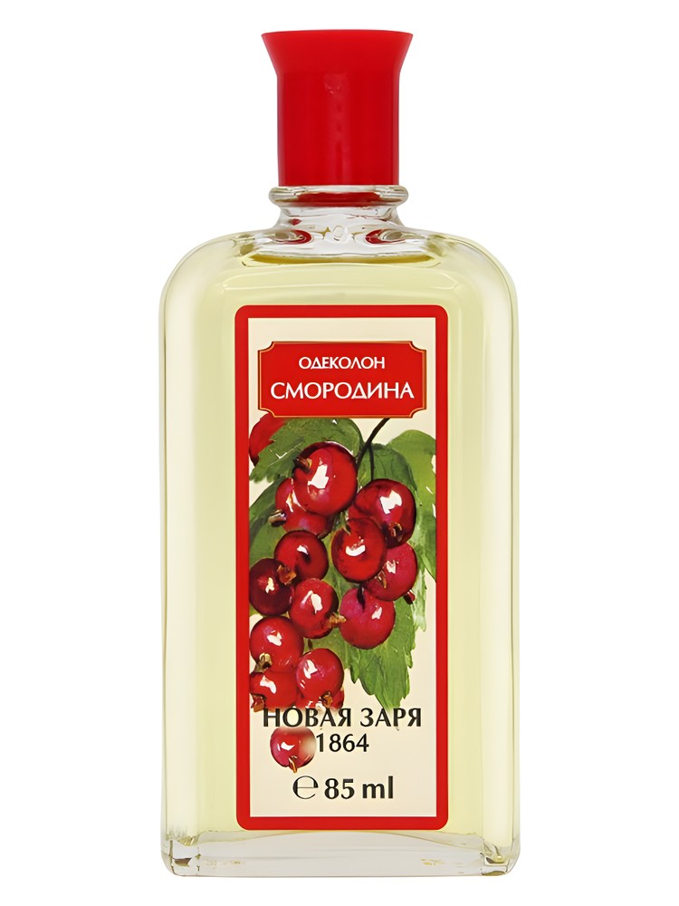 Смородина (Currant)