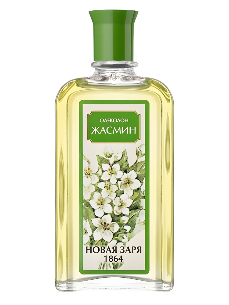 Жасмин (Jasmine)