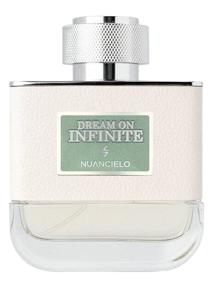 Dream On Infinite