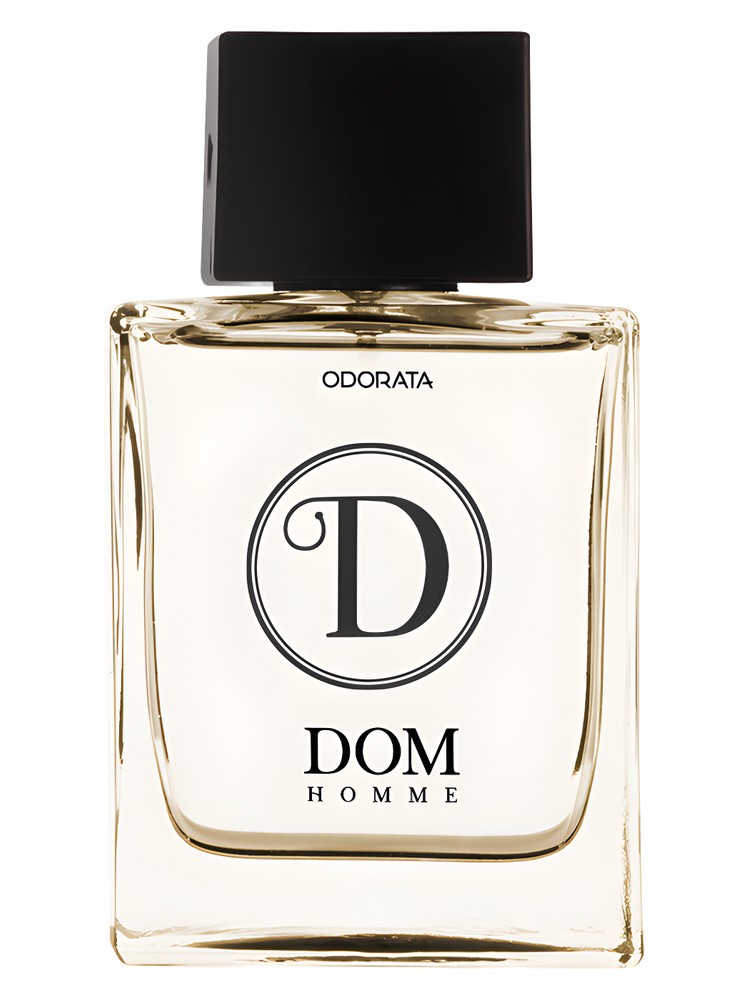 Dom Homme