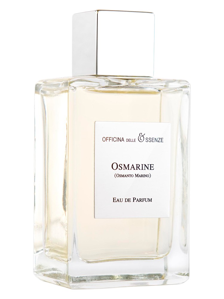 Osmarine (Osmanto Marino)