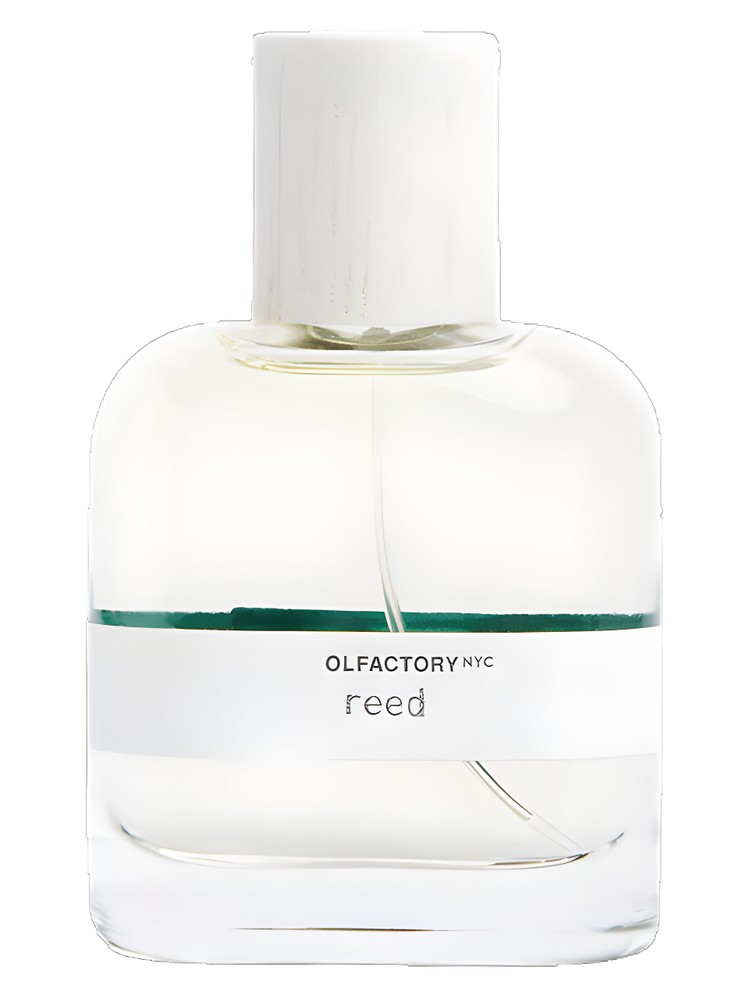 Reed