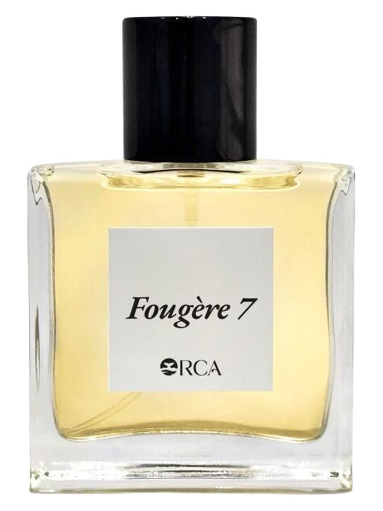 Fougère 7