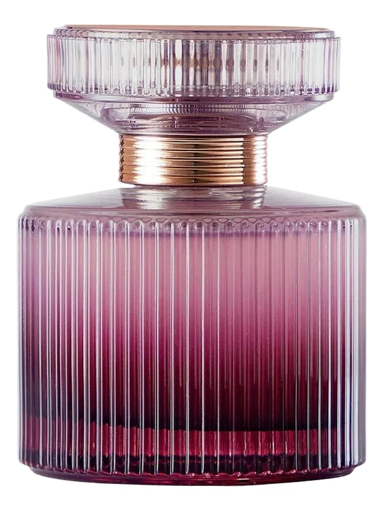 Amber Elixir Mystery