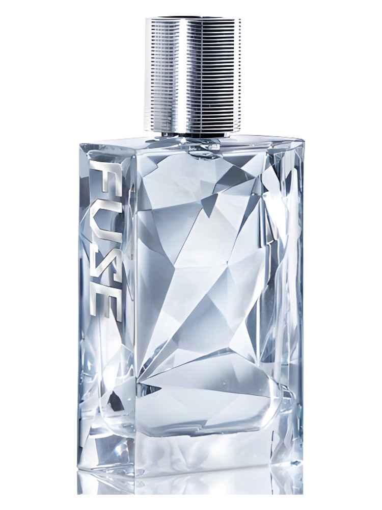 Fuse