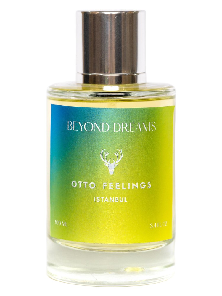 Beyond Dreams