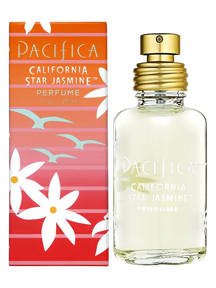 California Star Jasmine