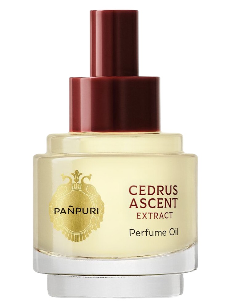 Cedrus Ascent