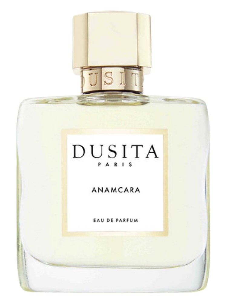 Anamcara