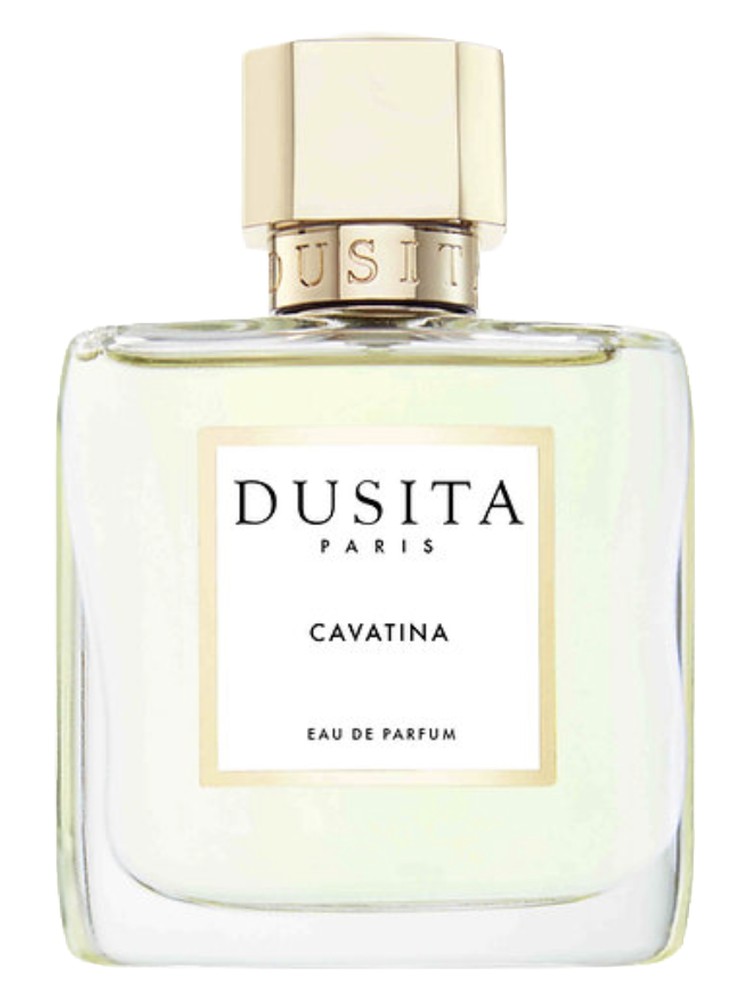 Cavatina