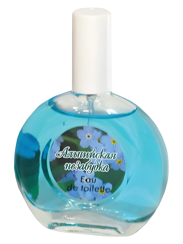 Alpine Forget-Me-Not Альпийская Незабудка