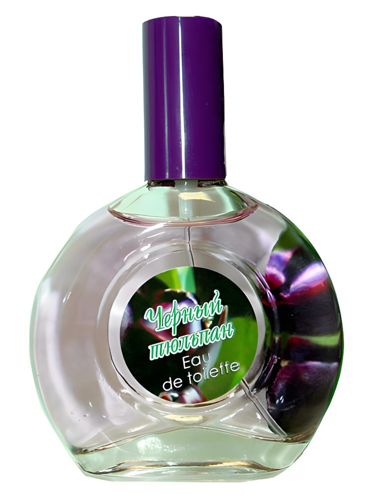 Black Tulip Черный Тюльпан