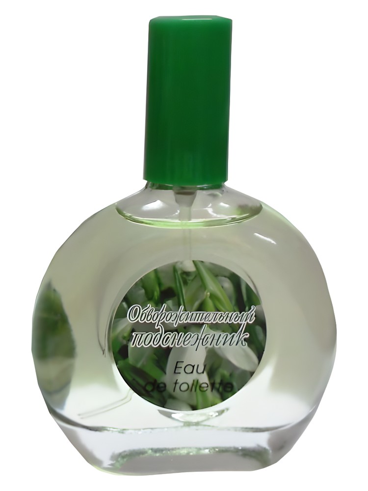 Charming Snowdrop Обворожительный Подснежник