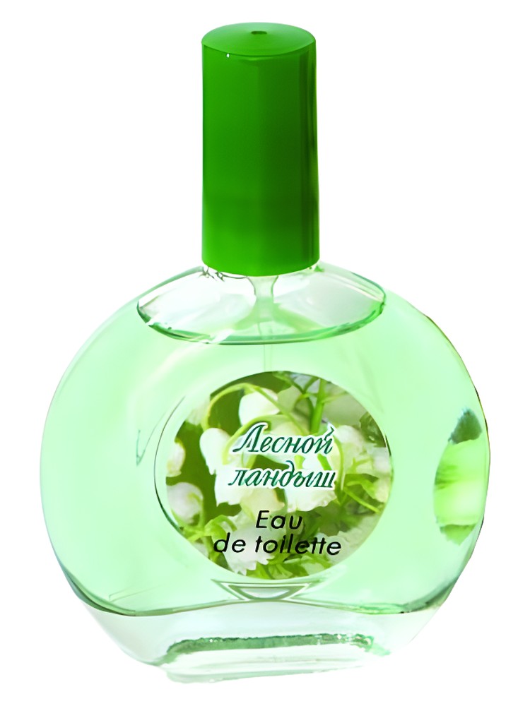 Forest Lily-of-the-Valley Лесной Ландыш