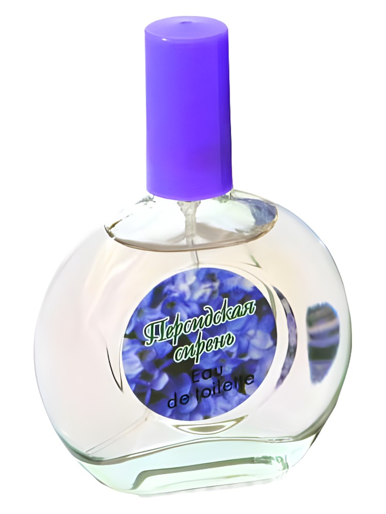 Persian Lilac Персидская Сирень