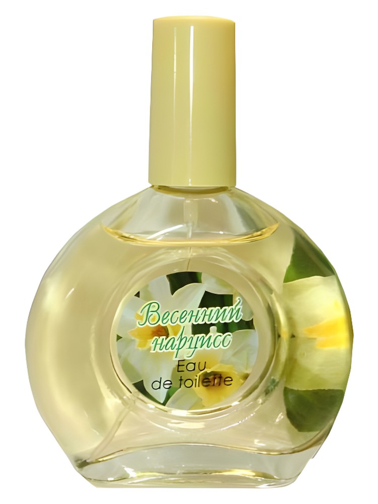 Spring Narcissus Весенний Нарцисс