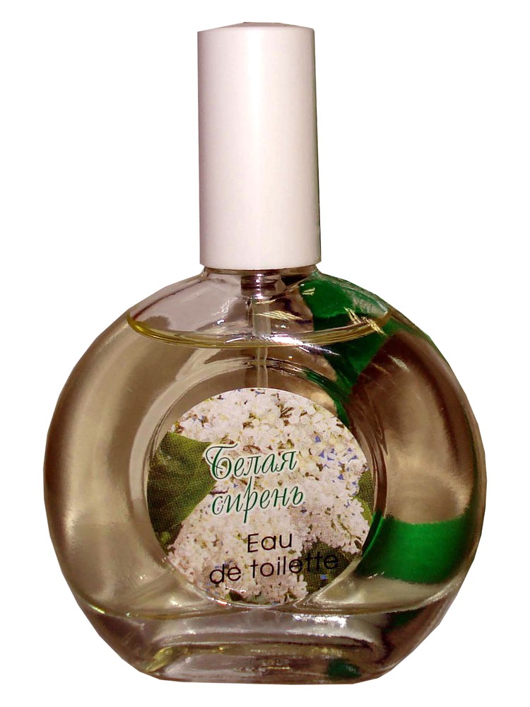 White Lilac Белая Сирень