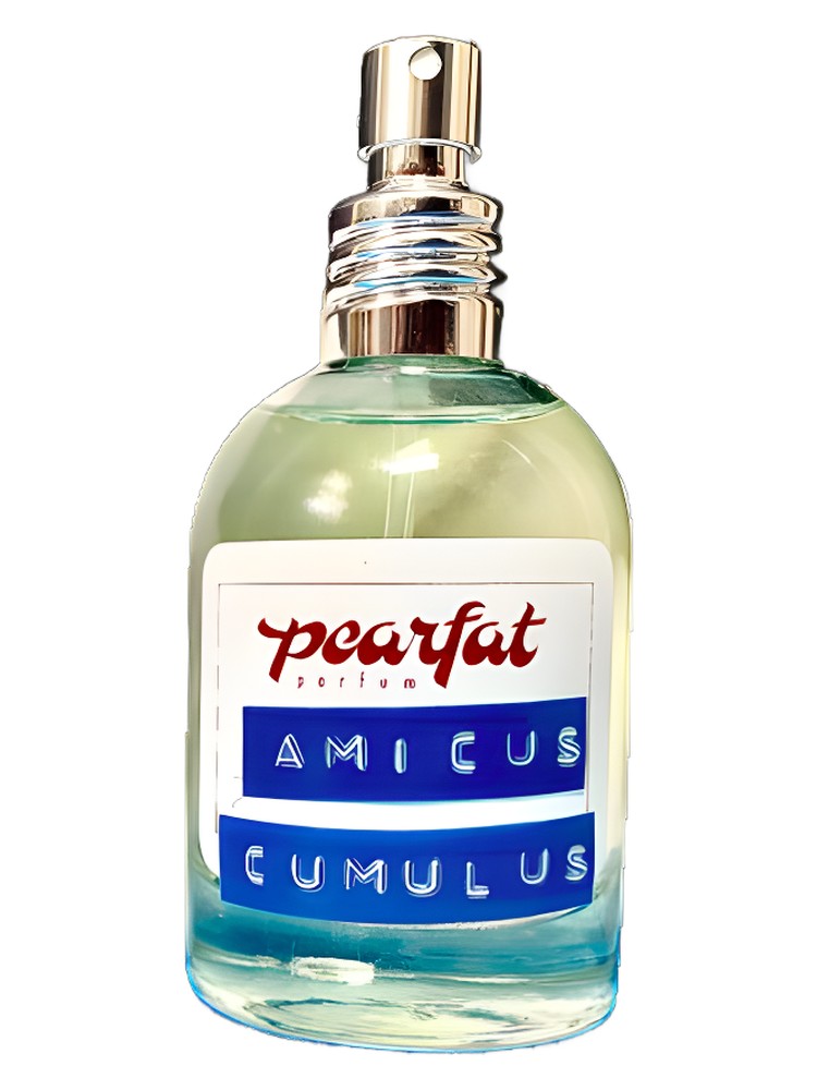 Amicus Cumulus