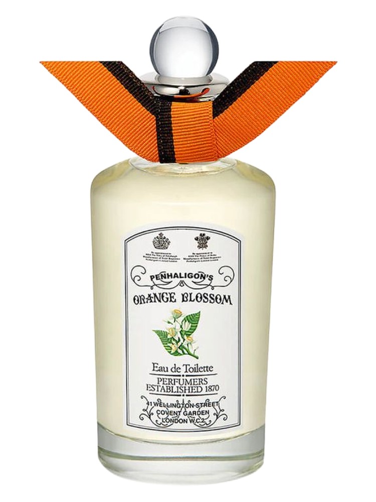Orange Blossom