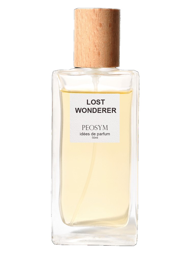 Lost Wonderer