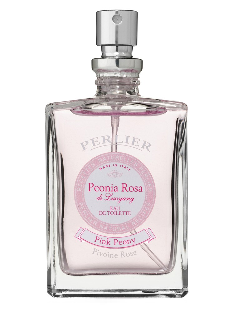 Peonia Rosa