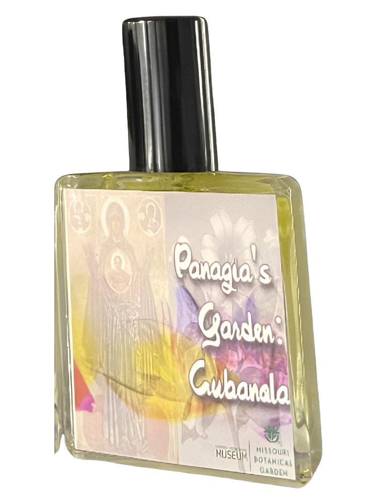 Panagia's Garden: Cubanola