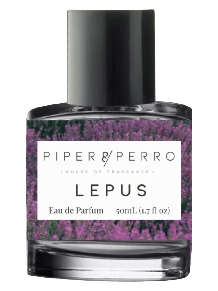 Lepus