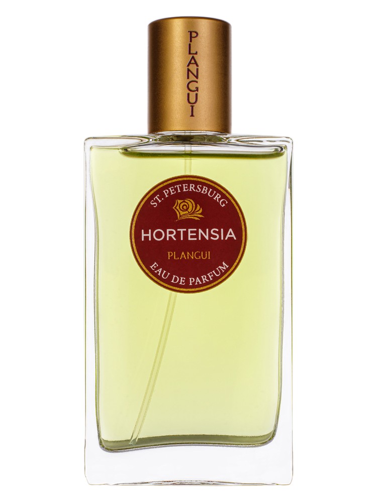 Hortensia Гортензия